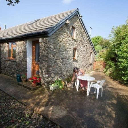 Inviting 2-Bed Cottage In Newcastle Emlyn Eksteriør billede