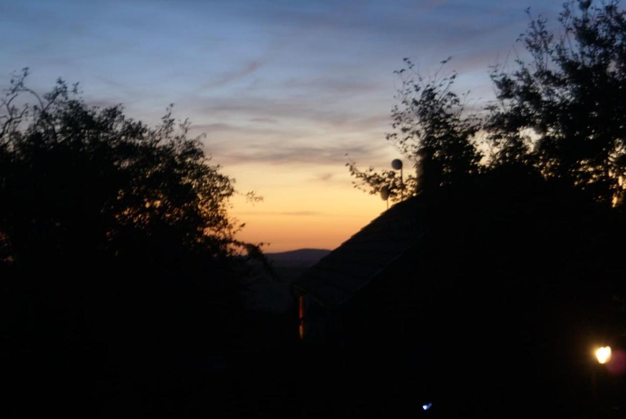 Inviting 2-Bed Cottage In Newcastle Emlyn Eksteriør billede