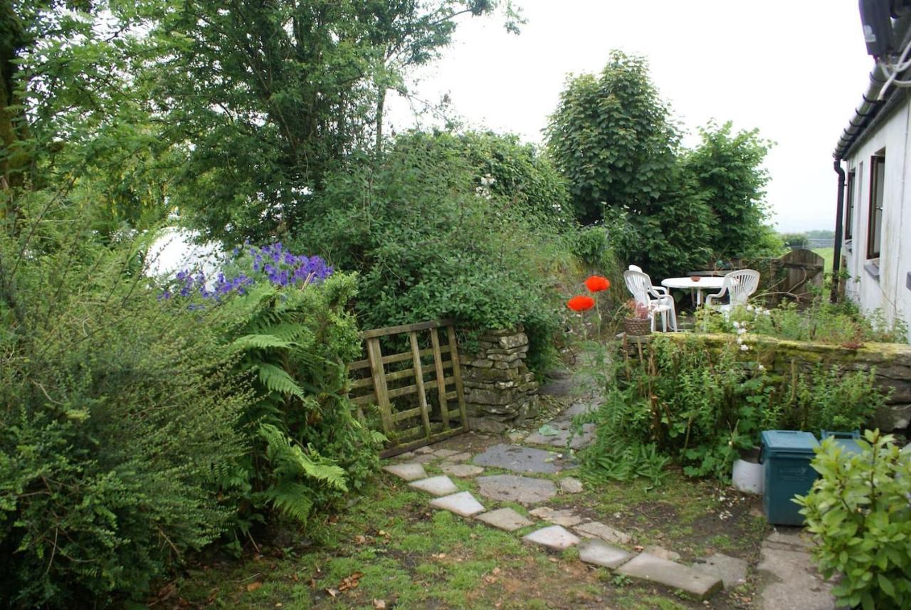 Inviting 2-Bed Cottage In Newcastle Emlyn Eksteriør billede