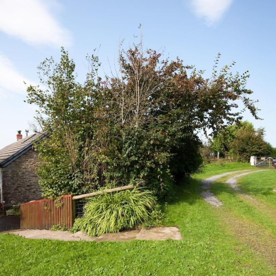 Inviting 2-Bed Cottage In Newcastle Emlyn Eksteriør billede