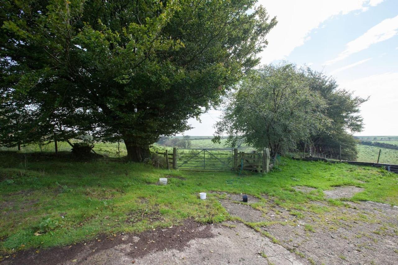 Inviting 2-Bed Cottage In Newcastle Emlyn Eksteriør billede